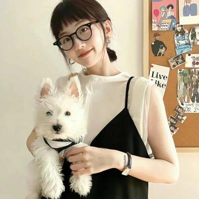 狂飙的蜗牛